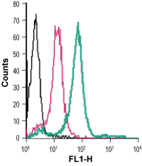 Cell surface detection of TREM2 in live intact human THP-1 monocytic leukemia cells: