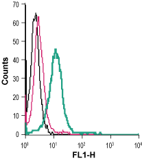 Cell surface detection of P2RX4 in live intact mouse BV-2 microglia cells: