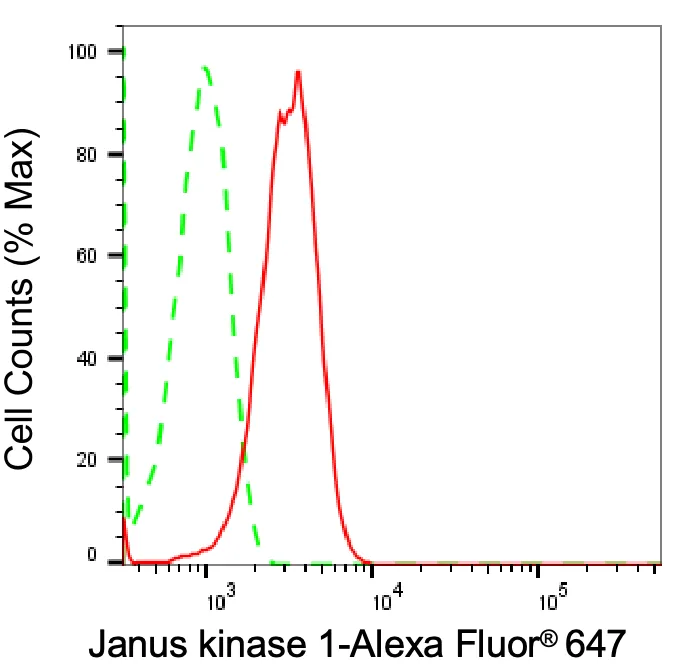 KVAb01735
