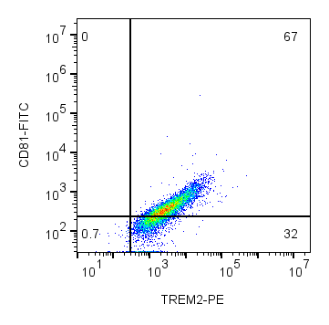 Cell surface multicolor flow cytometry analysis of live intact mouse BV-2 microglia cells with CD81 and TREM2: