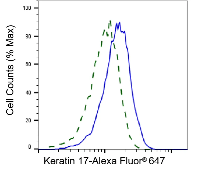 KVAb01031