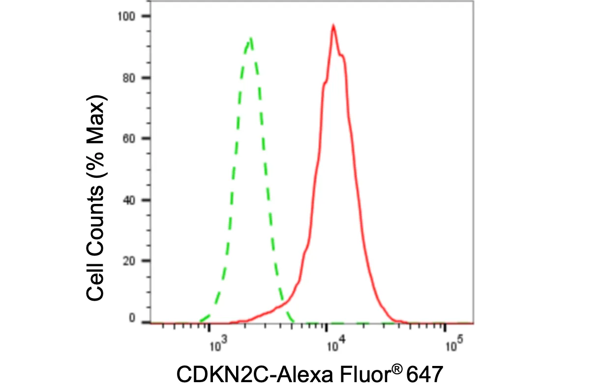 KVAb01802