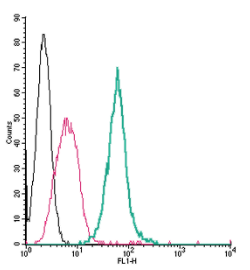 Cell surface detection of Neuropilin-1 by direct flow cytometry in live intact mouse J774 macrophage cells: