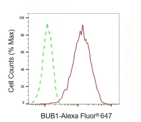 KVAb01374