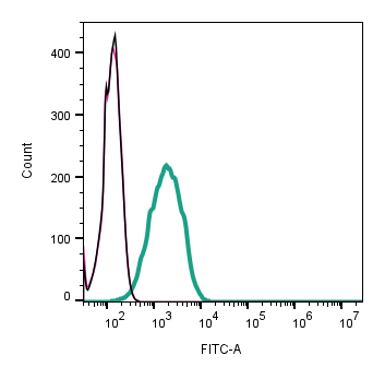 Cell surface detection of Orai1 in human Jurkat T-cell leukemia cells: