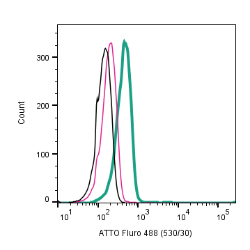 Cell surface detection of TrkB in a live intact human Jurkat T-cell leukemia cell line:
