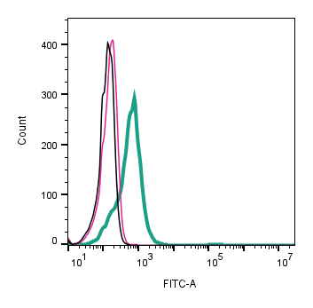 Cell surface detection of P2X3 Receptor by direct flow cytometry in live intact human KU812 basophil cells: