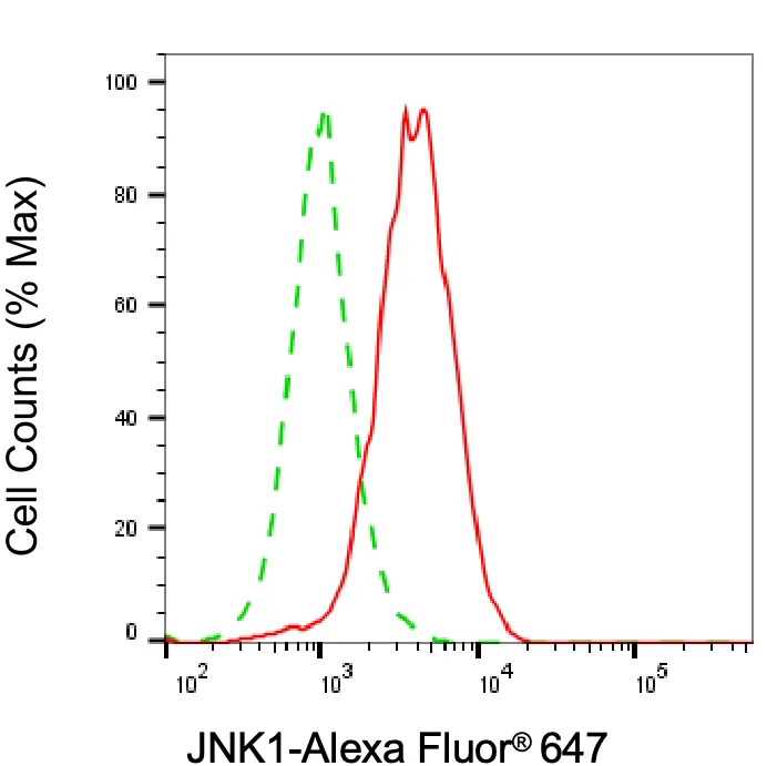KVAb01740