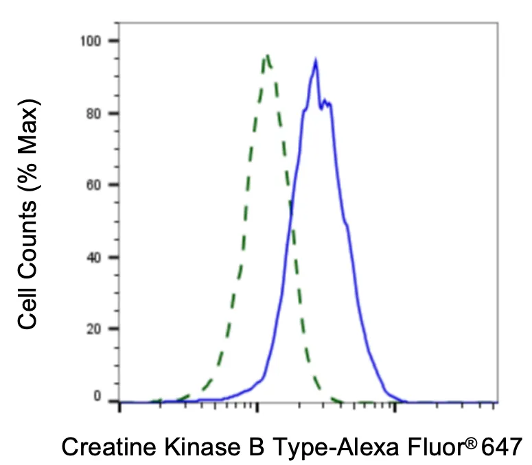 KVAb00790