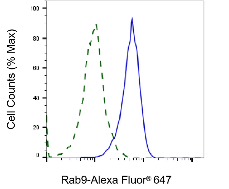 KVAb01817