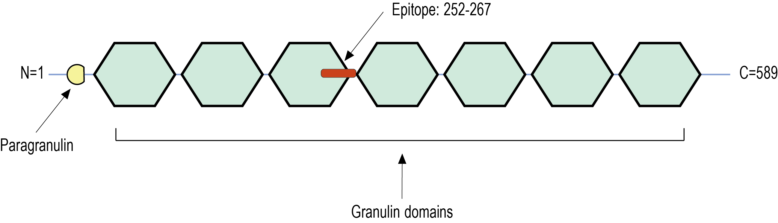 immunogen