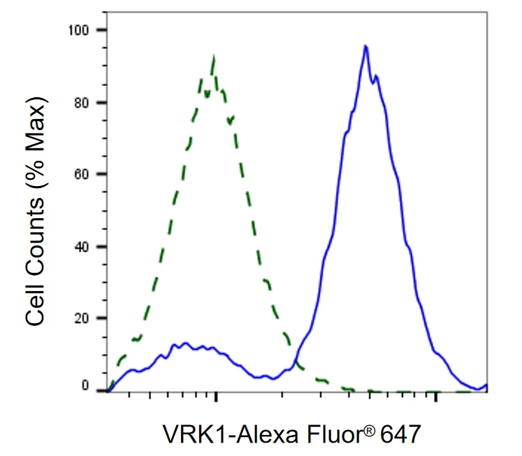 KVAb00278