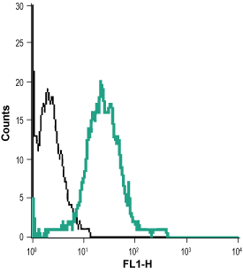 Cell surface detection of p75 NTR in live intact rat pheochromocytoma (PC12) cells: