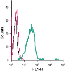 Cell surface detection of TREM2 in live intact mouse BV-2 microglia cells:
