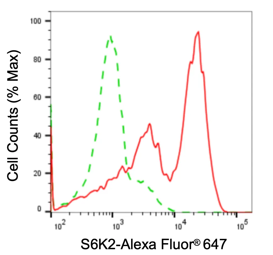 KVAb00723