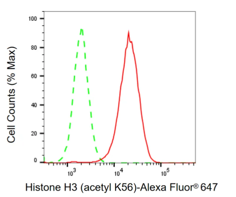 KVAb01244