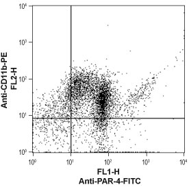 Cell surface detection of PAR-4 in human neutrophil-like differentiated promyelocytic leukemia HL-60 cells