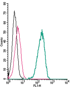 Cell surface detection of TRPV4 <span class="Nor
