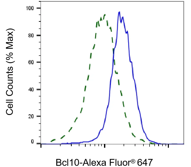 KVAb01576