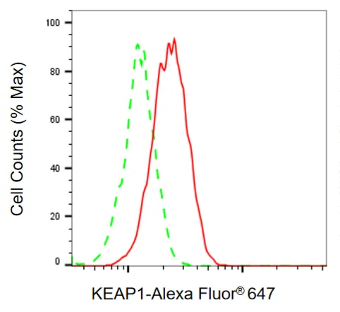 KVAb01710