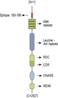 immunogen