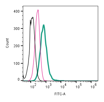 Cell surface detection of Alpha-1A adrenergic receptor by direct flow cytometry in live intact human THP-1 monocytic leukemia cell line: