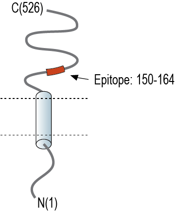 immunogen