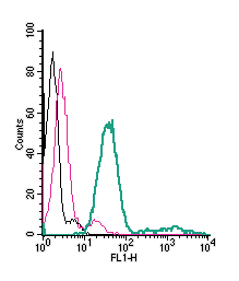 Cell surface detection of P2RX7 in live intact mouse BV-2 microglia cells: