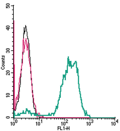 Cell surface detection of TRPV2 by indirect flow cytometry in live intact human THP-1 monocytic leukemia cells: