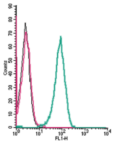 Cell surface detection of Human CCR5 by indirect flow cytometry in live intact human THP-1 monocytic leukemia cells: