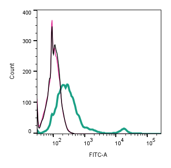 Cell surface detection of CD81 by indirect flow cytometry in live intact mouse BV-2 microglia cell line: