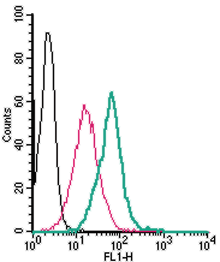 Cell surface detection of CD39 in live intact human THP-1 monocytic leukemia cells: