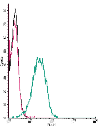 Cell surface detection of <span class="T