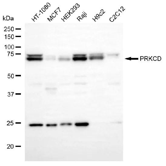 KVAb01892