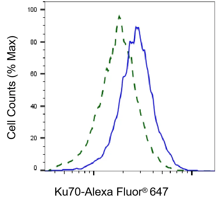KVAb01152