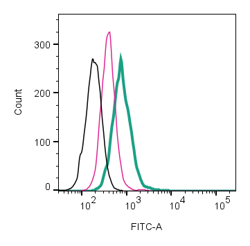 Cell surface detection of NHE-1 by direct flow cytometry in live intact human MEG-01 megakaryoblast leukemia cell line:
