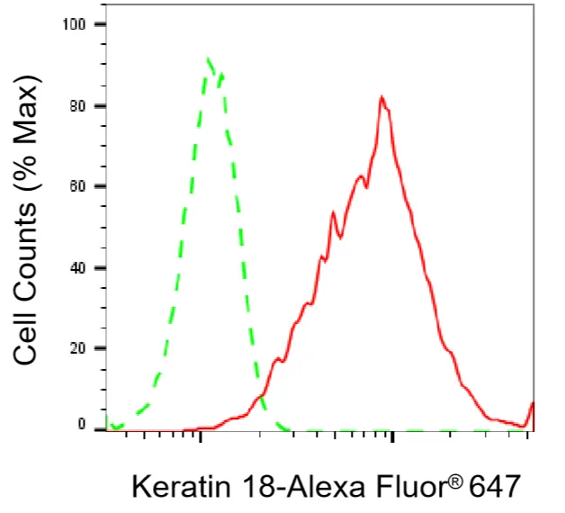 KVAb01546