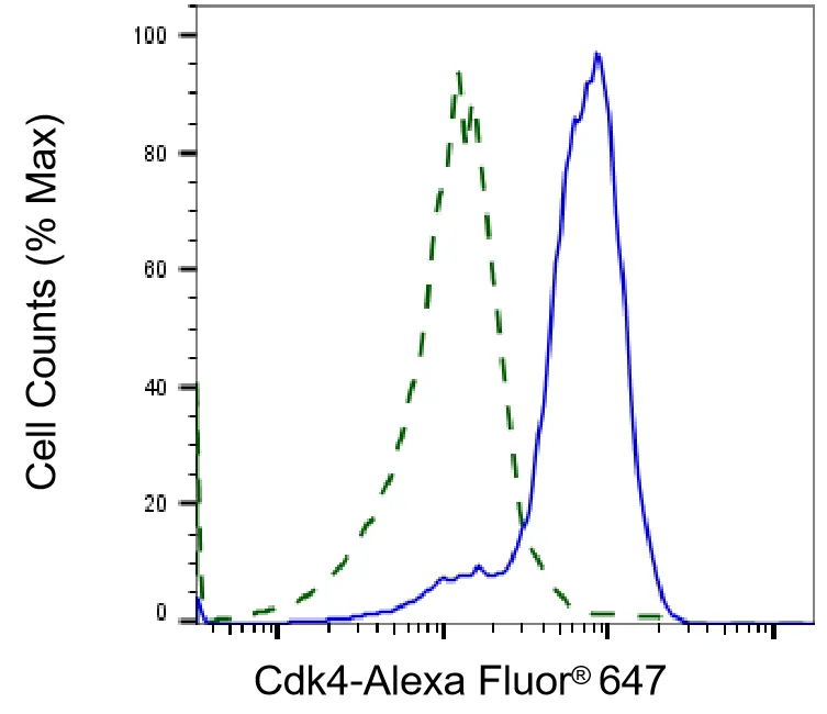 KVAb00260