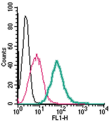 Cell surface detection of Adenosine A 2A Receptor by direct flow cytometry in live intact mouse J774 macrophage cells: