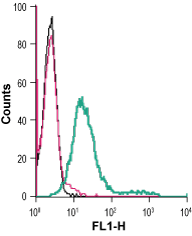 Cell surface detection of CB1 receptor in live intact mouse P815 mastocytoma cell line: