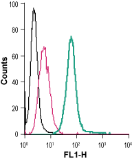 Cell surface detection of S1PR3 in live intact mouse J774 macrophage cells: