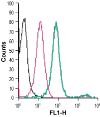 Cell surface detection of EMR1 in live intact human THP-1 monocytic leukemia cells: