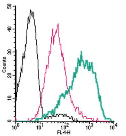 Cell surface detection of PAR4 by direct flow cytometry in live intact human MEG-01 megakaryocytic cells: