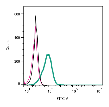Cell surface detection of TRPV1 by indirect flow cytometry in live intact mouse BV-2 microglia cell line: