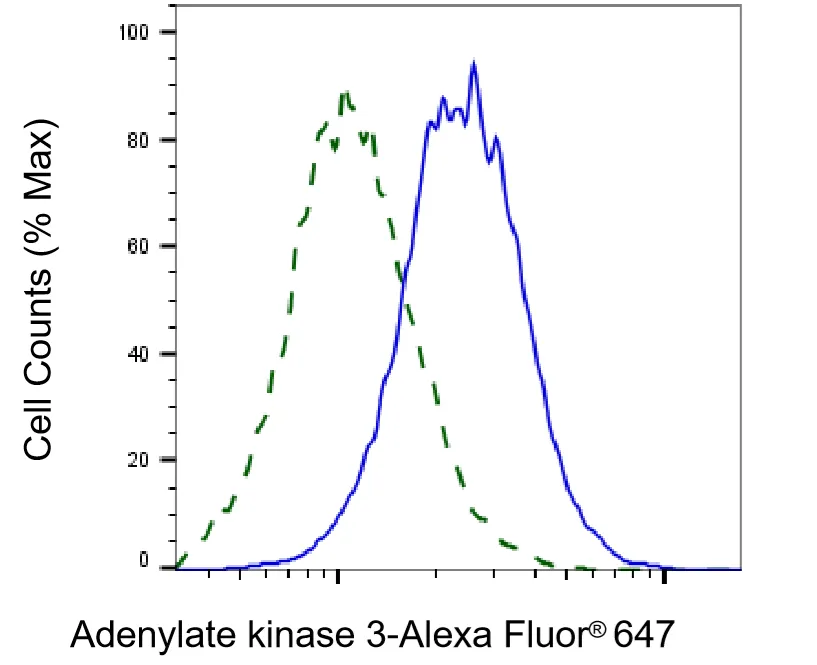 KVAb00636