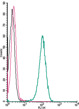 Cell surface detection of <span class="TextRun Highlight SCXW267602226 BCX8" lang="EN-US" xml: