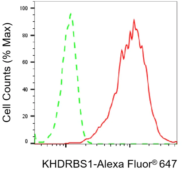 KVAb01310