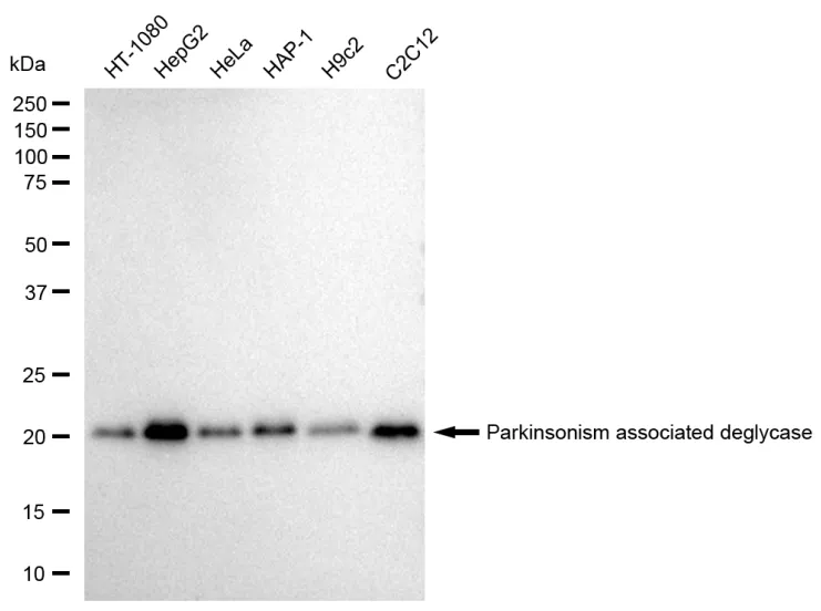 KVAb01814