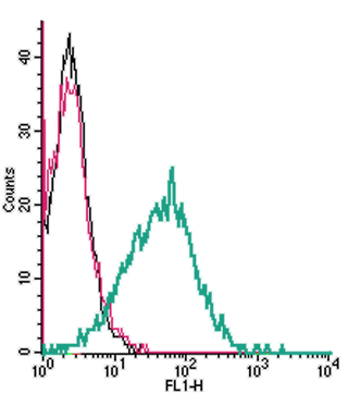 Cell surface detection of <span class="TextRun Highlight SCXW116423715 BCX0" lang="EN-US" xml: