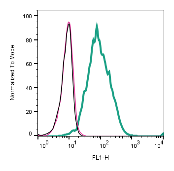 Cell surface detection of CD81 by indirect flow cytometry in live intact human Raji lymphoblast B-cell line: